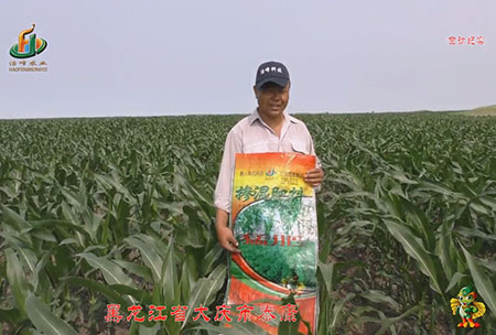 大慶泰(tai)康腰新