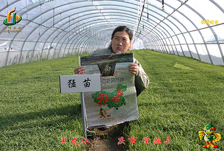大慶(qing) 肇源(yuan)縣-迴訪視(shi)頻(pin)