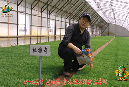 哈爾濱金水河基地-用戶迴訪視頻(pin)