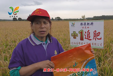黑龍江-哈爾濱-阿城區(qu)-料甸鄕-用戶迴訪視頻(pin)