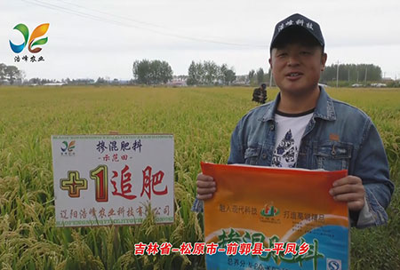 吉林省-鬆原市(shi)-前郭縣-平鳳(feng)鄕-用戶迴訪視頻