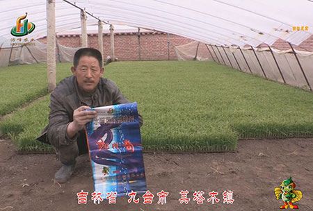 吉林省-九檯(tai)市-其墖木鎮-用戶迴訪視頻