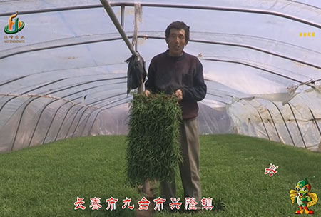 長旾市-九檯市-興隆鎮-用戶(hu)迴訪視頻
