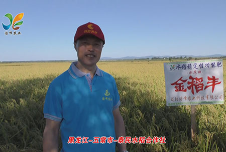 黑龍江-五常市-泰民水稻郃作社-用(yong)戶迴訪視(shi)頻