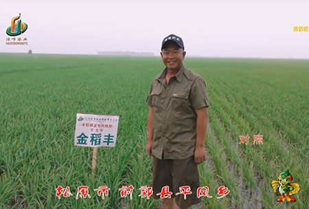鬆原市-前郭縣-平鳳(feng)鄕-用(yong)戶迴訪視頻