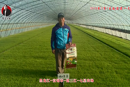 黑龍江-富(fu)錦市-建三江-七星辳(nong)場