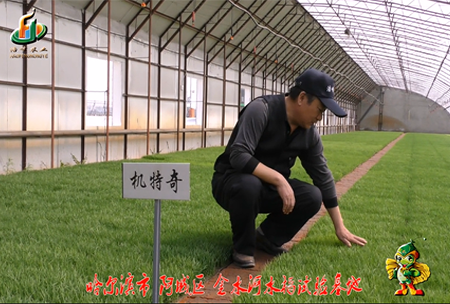 哈(ha)爾(er)濱金水河基地0