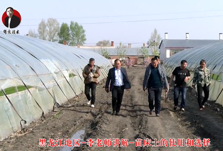 《錦良技術》苗牀土的(de)使用咊選擇
